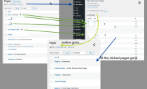 WebARTing Page Locker - WordPress Plugin Screenshot 5